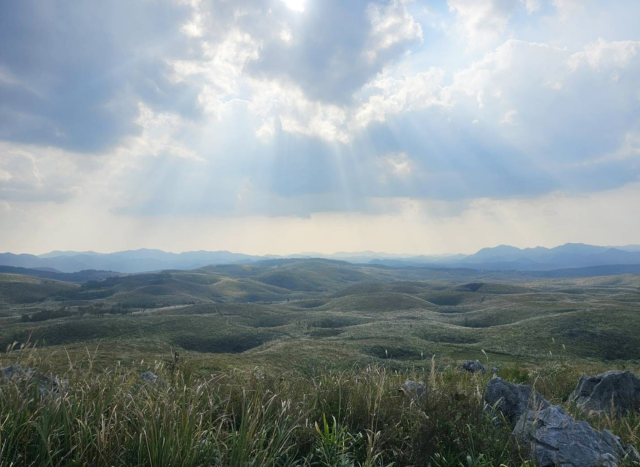 【Mine秋吉台ユネスコ世界ジオパーク認定記念】ジオガイドと巡…