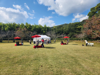毛利氏庭園で優雅なティータイム！特製「家紋入りマカロン」と紅茶のセット