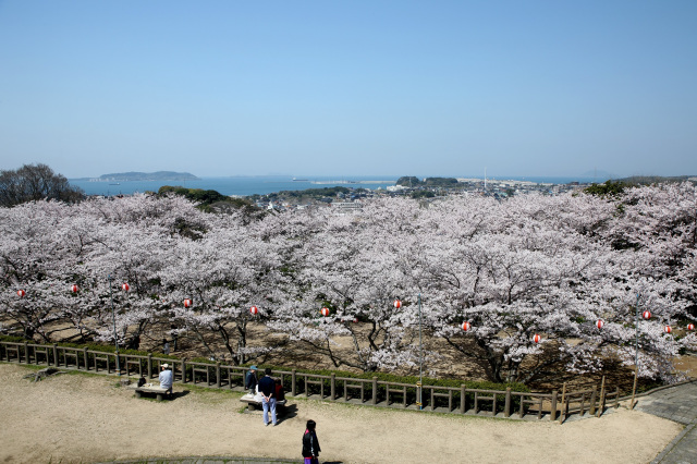 戦場ヶ原公園