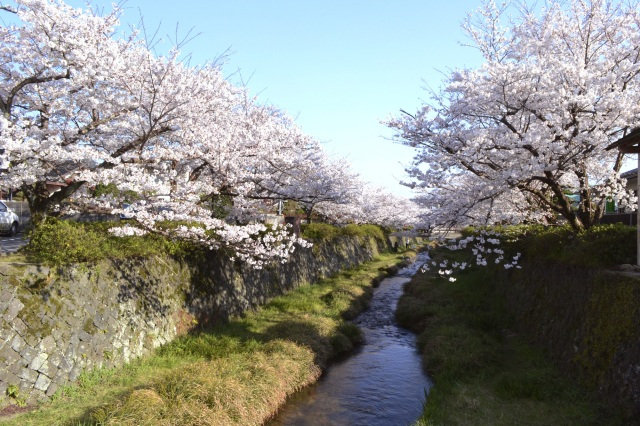 一の坂川