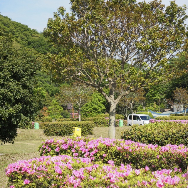竜王山公園