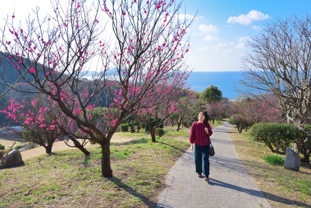 冠山総合公園　梅まつり