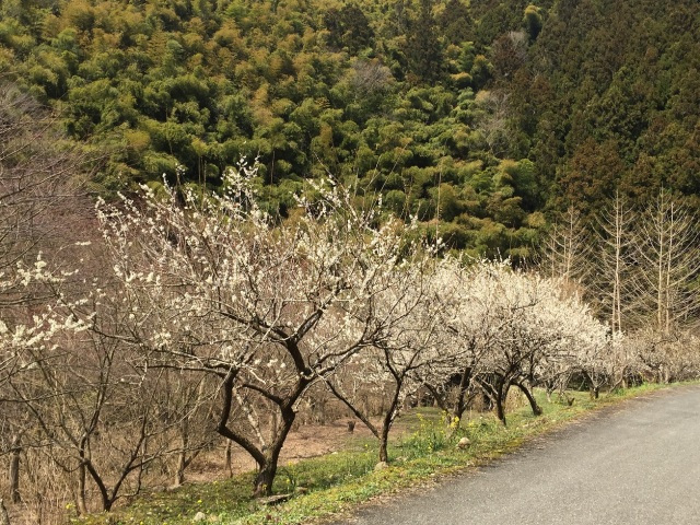 重源の郷【2025年4月24日リニューアルオープン!】
