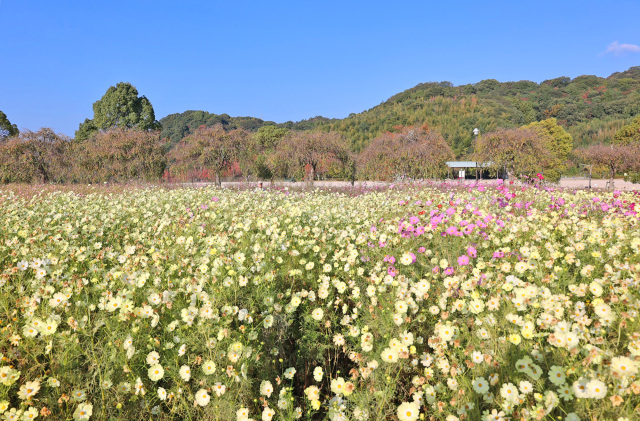 下松スポーツ公園