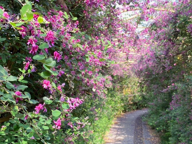 陶芸の村公園