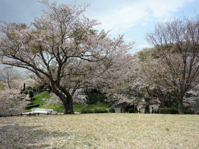 竜王山公園