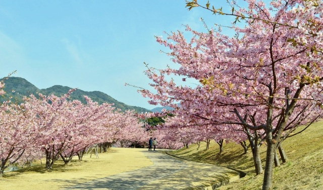 陶芸の村公園