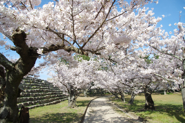 萩城跡指月公園