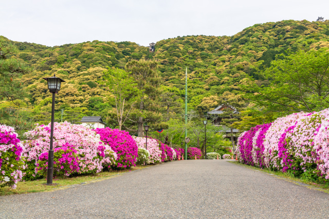 吉香公園