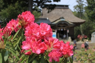 宇佐八幡宮