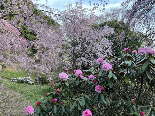 南原寺