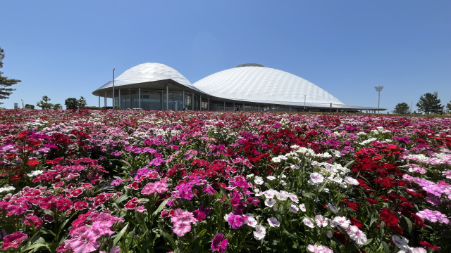 山口きらら博記念公園