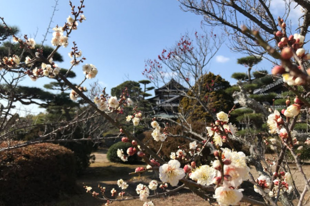 毛利氏庭園・毛利博物館