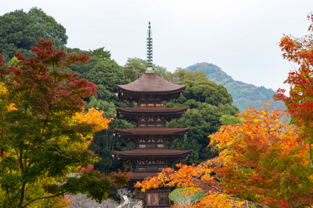 瑠璃光寺五重塔(香山公園)
