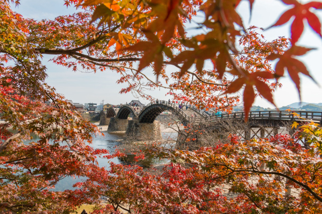 錦帯橋