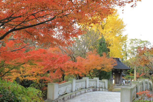 東大寺別院阿弥陀寺
